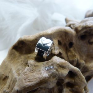 Zilveren bedel met paardenhaar en hartje